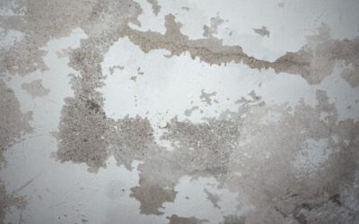 How to Fix Water-Damaged Walls Before Repainting (Step-by-Step Guide)