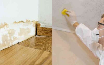 How to Get Rid of Mould on Walls for Good: Complete Guide